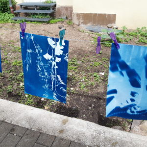 Cyanotypie Mini-Workshop